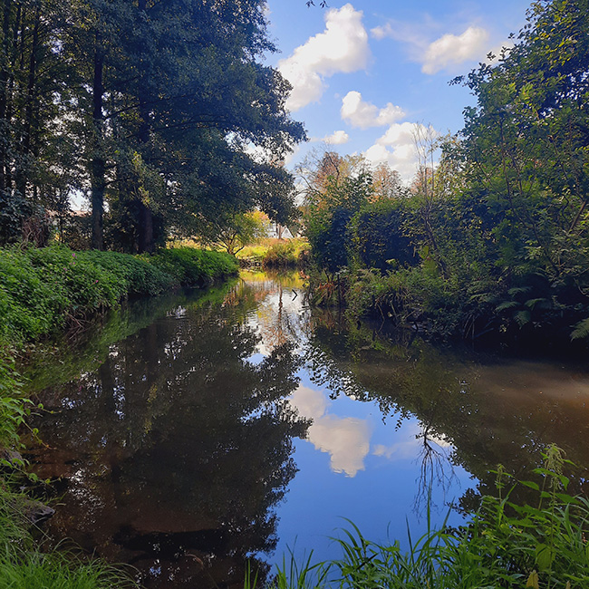 Kultur & Aktivitäten